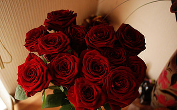 Flowers, Roses, Bright, Beauty, Bouquet HD wallpaper