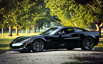 Auto, Nature, Cars, Chevrolet Corvette HD wallpaper