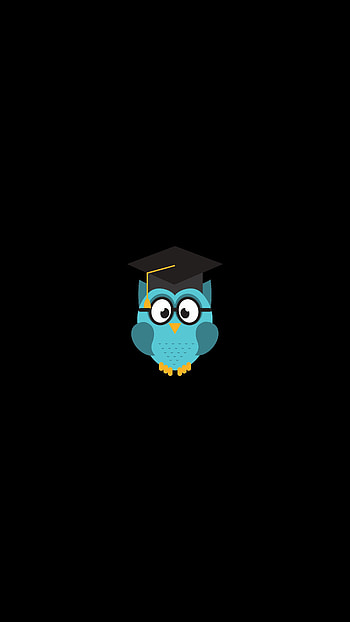 Owl, Art, Vector, Hat, Student HD phone wallpaper