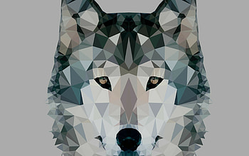 Abstract wolf , Creative artistry, Bold and vibrant, Unique interpretations HD wallpaper