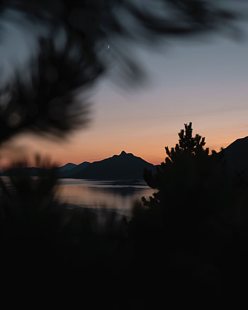 Sunset, Mountains, Night, Dark, Blur, Smooth, Branches HD phone wallpaper