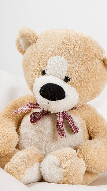 Teddy Bear Wale, Simple, Teddy, Cute HD phone wallpaper