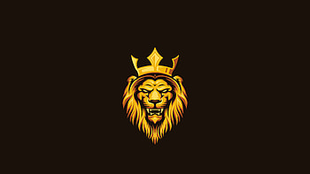 Lion, Kings HD wallpaper