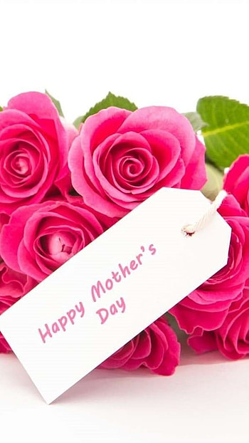 Mothers Day, Pink Roses HD phone wallpaper