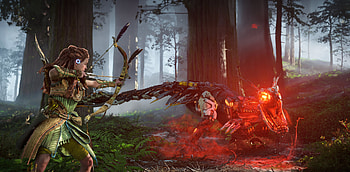 Horizon Forbidden West 2024 , horizon-forbidden-west, games, 2024-games, ps5-games, ps-games, ps4-games, video-games HD wallpaper