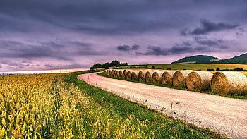 Earth Field, earth, field, nature HD wallpaper
