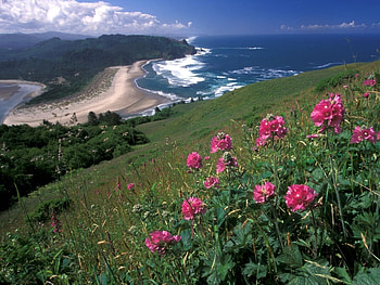 Landscape, Sea HD wallpaper