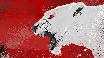 Lion Vector , lion, abstract, vector, artist, digital-art HD wallpaper