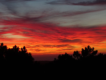 Nature, Trees, Sunset, Sky, Clouds HD wallpaper
