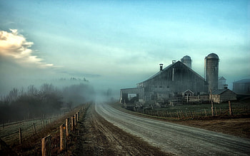 Nature, Building, Plant, Wood, Wooden, Road, Fog, House, Construction, Fencing, Enclosure, Country, Factory, Countryside, Shop, Workshop HD wallpaper