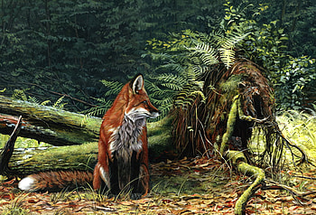 The Fox And The Mouse, tree trunk, sly, woods, mouse, outsmart, fox HD wallpaper