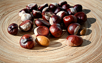 Chestnuts in a bowl, Wholesome snack, Wooden background, Seasonal ry HD wallpaper