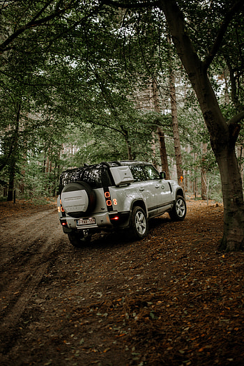 Land Rover, Cars, Forest, Car, Suv, Back View, Rear View HD phone wallpaper