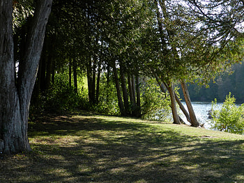 Shadows On The Grass, graphy, Grass, Trees, Nature, Shadows, River HD wallpaper