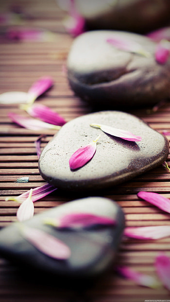 ... zen stones pink petals 6 plus ipod ... HD phone wallpaper