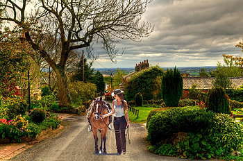 Beautiful Walk, cowgirls, horses, road, brunettes HD wallpaper