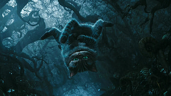 Cheshire Cat , Quirky character, Enigmatic smile, Whimsical charm HD wallpaper
