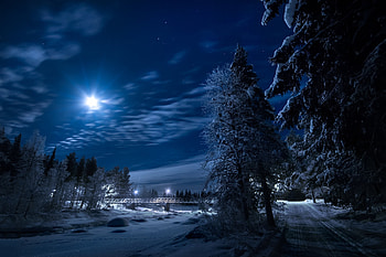 Winter road, Dusk, Winter, Noght, Trees, Moon, Road HD wallpaper