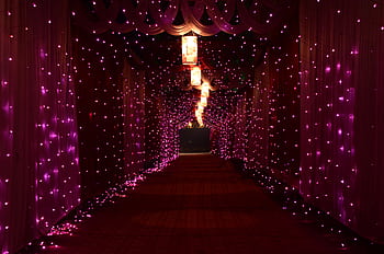A mesmerizing corridor lit with vibrant purple lights creating a magical ambiance indoors. HD wallpaper