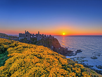 Dunluce castle - UK, old castle, flowers, sunset, beach HD wallpaper