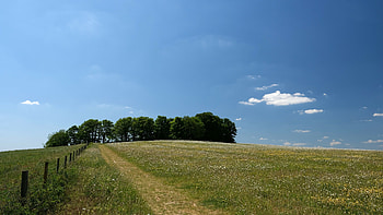 landscape, sky, cloud, Grass HD wallpaper