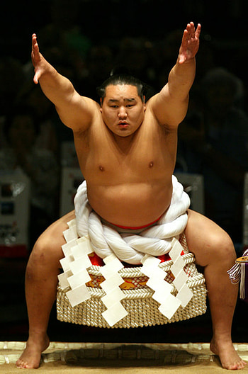 Asashoryu Akinori, Sumo HD phone wallpaper