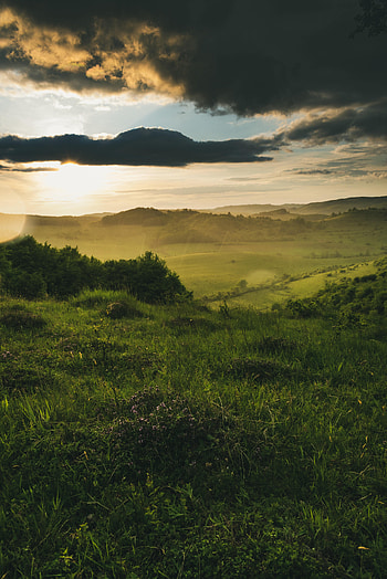 Nature, Clouds, Bush, Shine, Beams, Rays, Brilliance, Field HD phone wallpaper