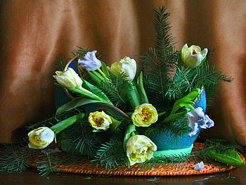 Still life, pretty, vase, beautiful, flowers, tulips, lovely, nice HD wallpaper