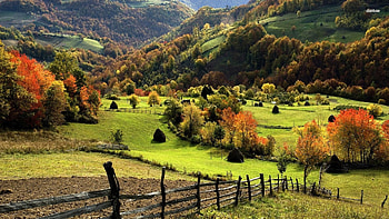 Country Fields, grass, country, orange, mountain, life, fence, fields, trees, autumn, road, nature HD wallpaper