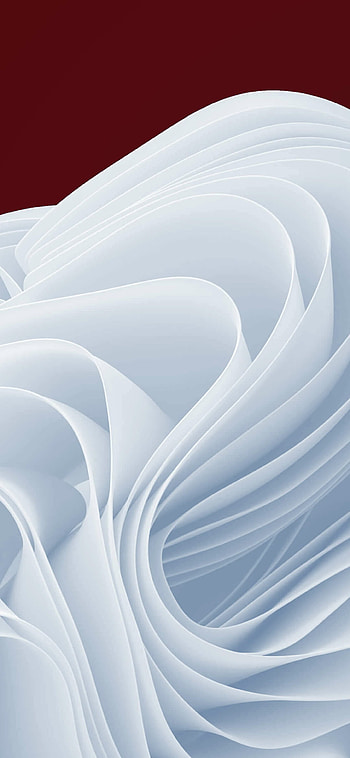 Windows 11 - Cranberry White Bloom, technology, Windows 11 HD phone wallpaper
