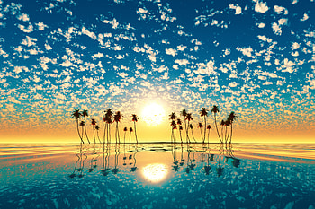 Palm Trees Reflection Sunset, trees, palm, nature, sunset HD wallpaper