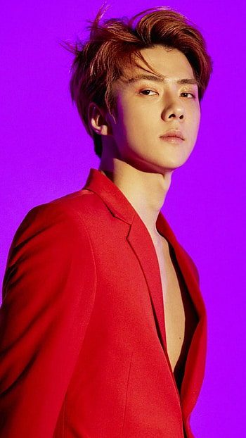 EXO, K-pop sensation, Catchy melodies, Choreographed performances HD phone wallpaper