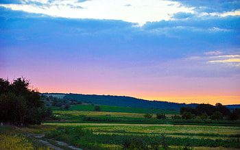 Nature, Sunset, Grass, Sky HD wallpaper