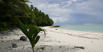 Samoa Reisetipps & Reiseberichte, Travels, Samoa HD wallpaper