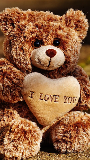 Teddy Wale, Love, Brown Teddy HD phone wallpaper