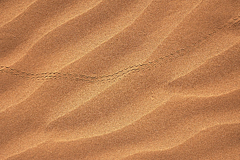 Nature, Sand, Desert, Track, Dunes, Trace HD wallpaper
