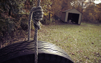 Nature, Wheel, Swing, Courtyard, Yard, Rope, Garage HD wallpaper
