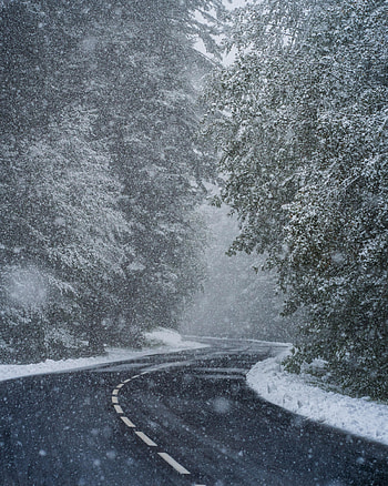 Winter, Nature, Trees, Snow, Road, Turn, Snowstorm HD phone wallpaper