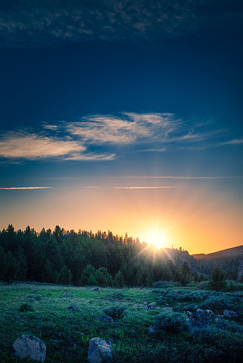 Landscape, Nature, Mountains, Dawn, Forest, Sunlight HD phone wallpaper