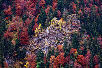 Balkan rocks, graphy, bulgaria, colors, autumn, beautiful, rocks, mountain HD wallpaper