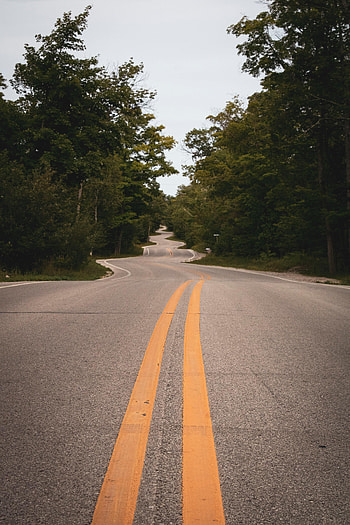 Nature, Trees, Road, Markup, Dahl, Distance, Winding, Sinuous HD phone wallpaper