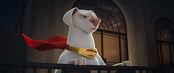 DC League of Super-Pets, Spectacular visuals, Endearing characters, Captivating story HD wallpaper