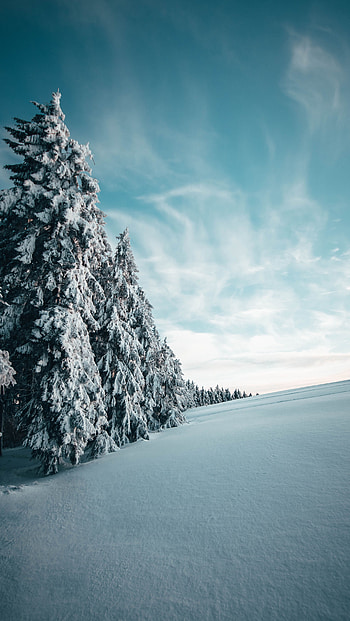 Landscape, Winter, Nature, Trees, Snow, Snow Covered, Snowbound, Ate HD phone wallpaper