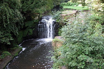 Nature, Waterfall, Vegetation, Greens, England, Newcastle Upon Tyne HD wallpaper