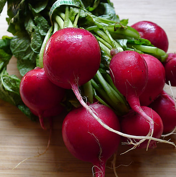 Radish, Paint vegetable, Red and white background HD phone wallpaper
