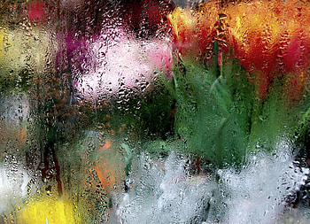 Macro, Blur, Smooth, Moisture, Glass, Stains, Spots HD wallpaper