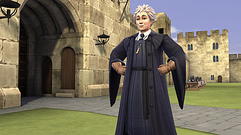 Madame Hooch movies, Hogwarts mystery game, Meet the professors, School staff HD wallpaper