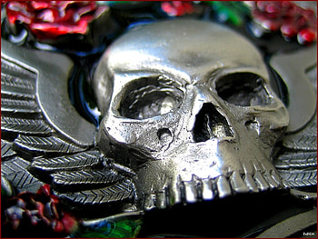 SISKIYOU-BUCKLE HD wallpaper