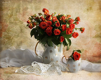 still life, bouquet, graphy, kettle, lace, nice, rose, delicate, flower, , roses, elegantly, beautiful, pretty, cool, flowers, lovely, harmony HD wallpaper