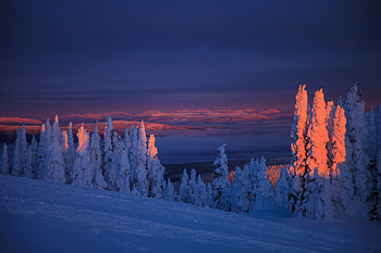Landscape, Winter, Nature, Trees, Twilight, Snow, Dusk, Snow Covered, Snowbound HD wallpaper